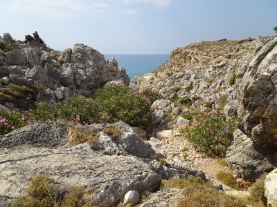 Charaki - Stegna