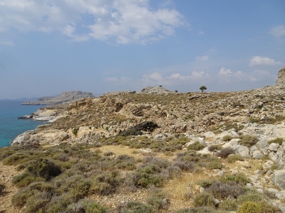Charaki - Stegna