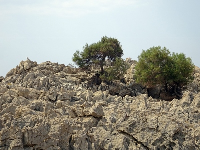 Charaki - Stegna