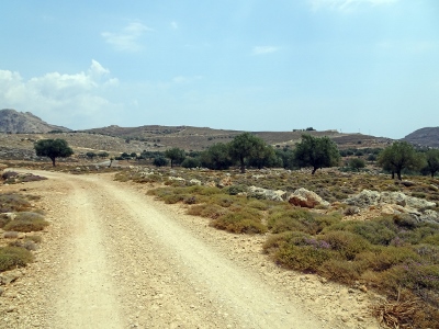 Charaki - Stegna