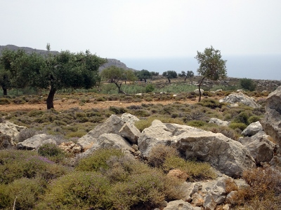 Charaki - Stegna