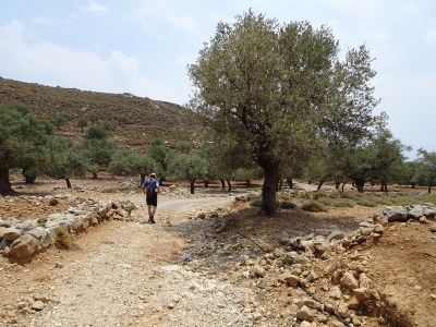 Charaki - Stegna