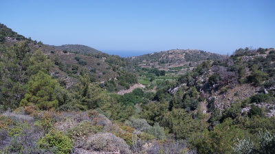 Embonas