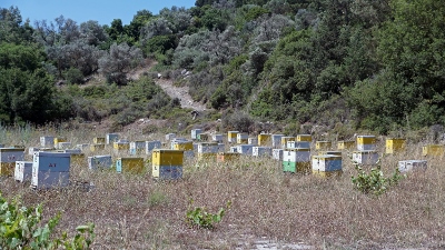 Embonas