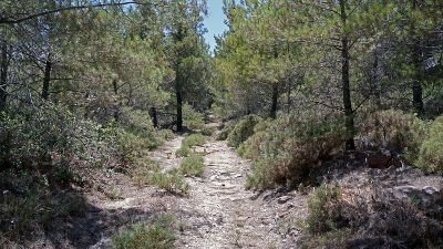 Embonas