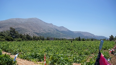 Embonas