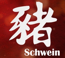 year of the pig