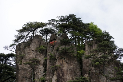 Yellow Mountains