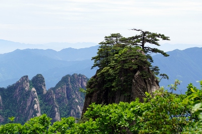 Yellow Mountains