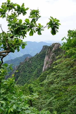 Yellow Mountains