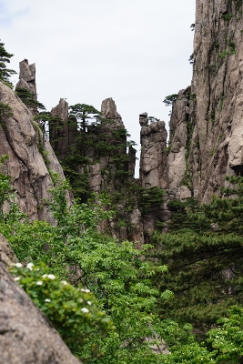 Yellow Mountains