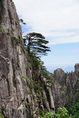 Yellow Mountains