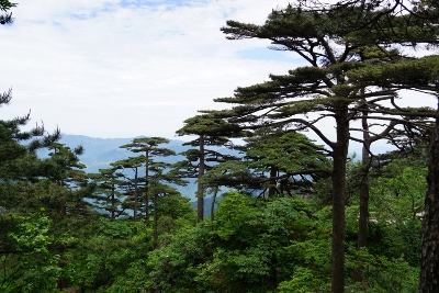Yellow Mountains