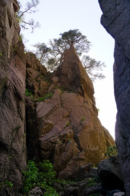 Yellow Mountains
