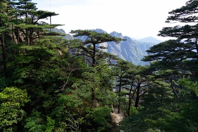 Yellow Mountains