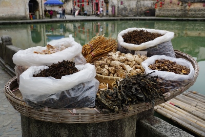 Hongcun Village
