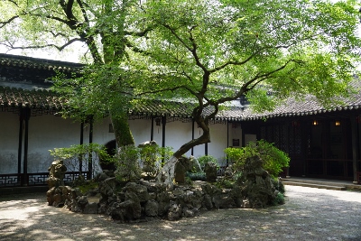 Tongli Watertown