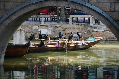 Tongli Watertown