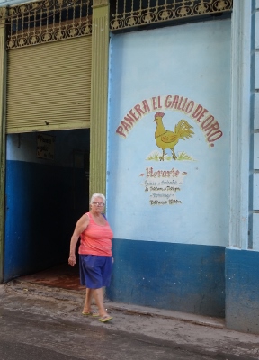 DSC07070