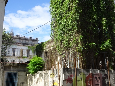 DSC07073