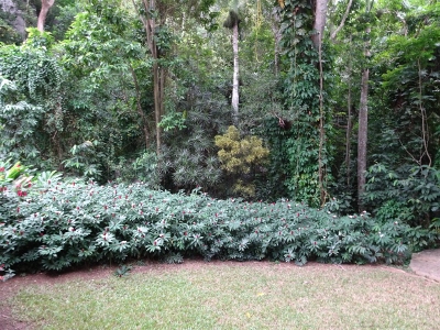 DSC07258