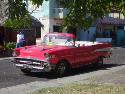 DSC07498