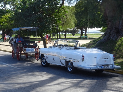 DSC07502
