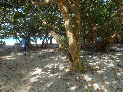 DSC07504