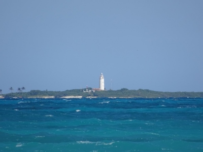 DSC07545