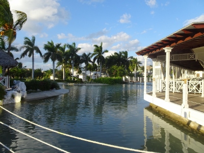 DSC07556