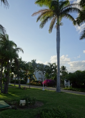 DSC07558