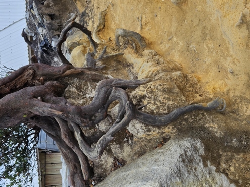 Tangkuban Parahu