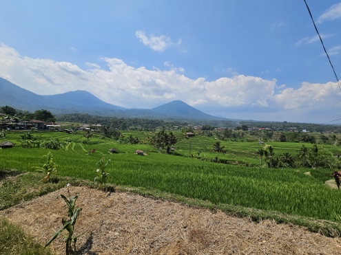 Bali - Jatiluwih