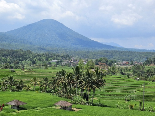 Bali - Jatiluwih