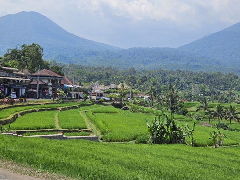 Bali - Jatiluwih