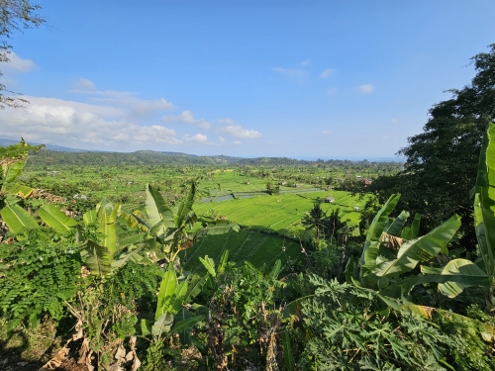 Bali - Tirta Gangga