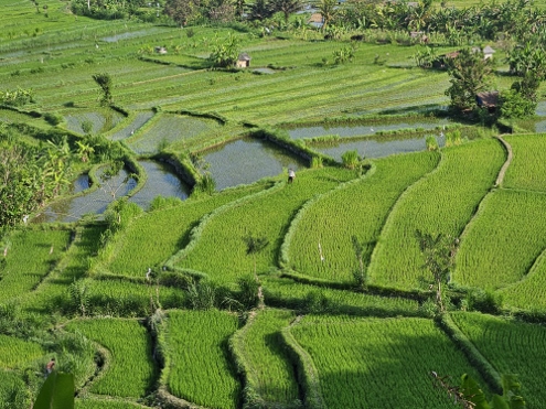 Bali - Tirta Gangga