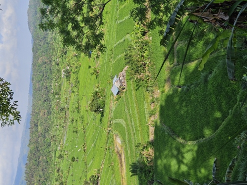Bali - Tirta Gangga