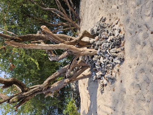 Gili Meno - Sonne, Meer und Strand, mehr braucht`s nicht