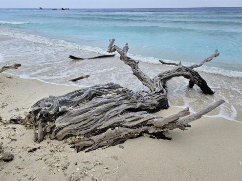 Gili Meno - Treibgut