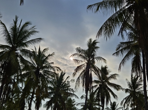 Gili Meno