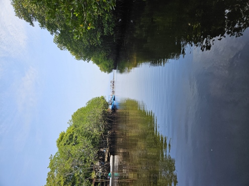 Nusa Lembongan - Mangrove Forest