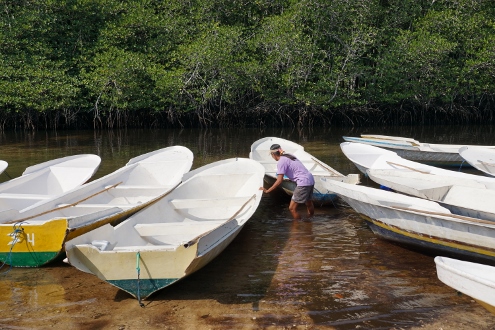 Nusa Lembongan - Mangrove Forest