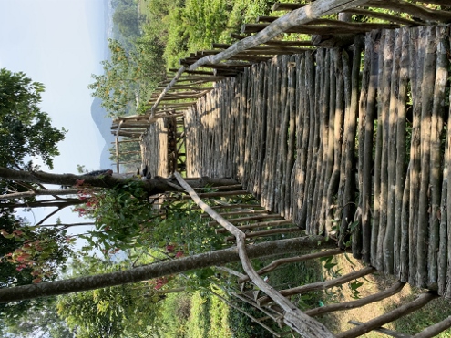 Wackelige Pfade