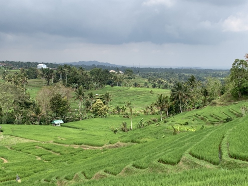 Bali - Jatiluwih