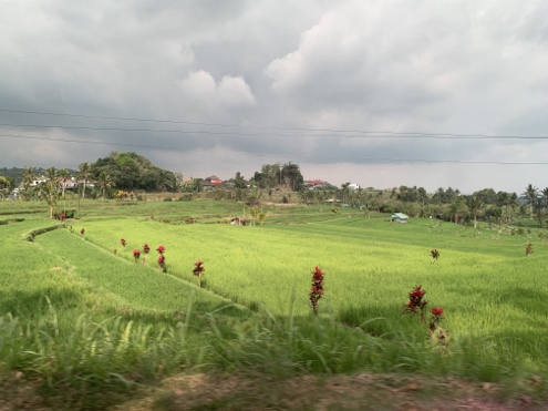 Bali - Jatiluwih