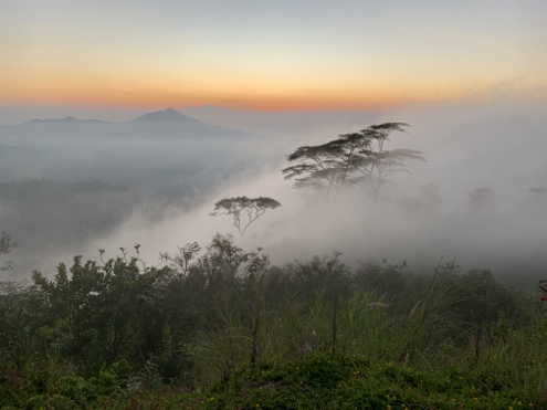 Bali - Sonnenaufgang am Bukit Cemara