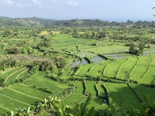 Bali - Tirta Gangga