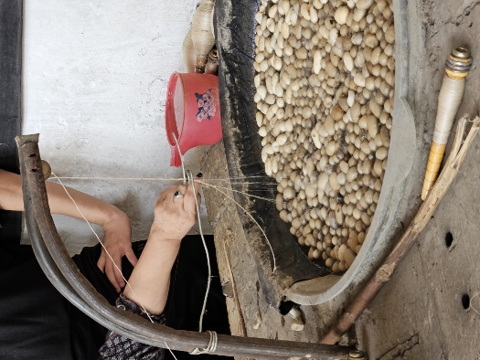 Wie die edlen Seidenstoffe entstehen