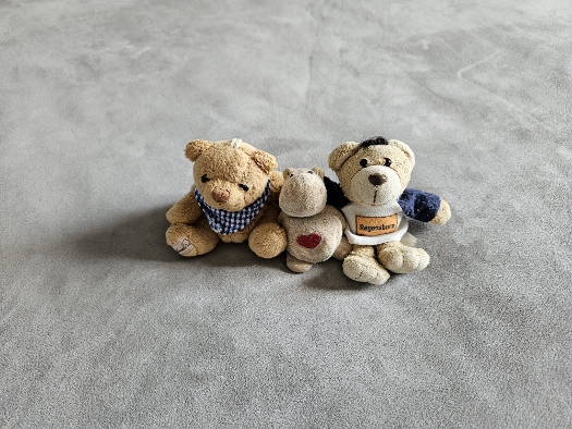 Reisebegleiterund Ratgeber in jeder Situation